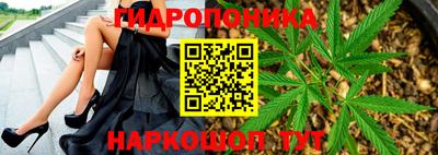 a pvp Апрелевка