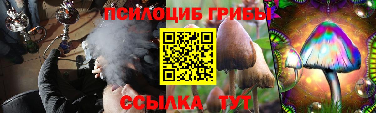 Ипатово  Псилоцибиновые грибы мицелий  Вход с VPN 
