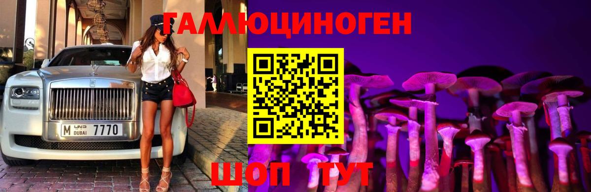 Псилоцибиновые грибы ЛСД Ипатово